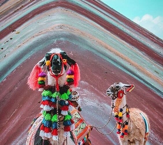 Peru Rainbow Mountain Tour - Rainbow Mountain Peru Tour