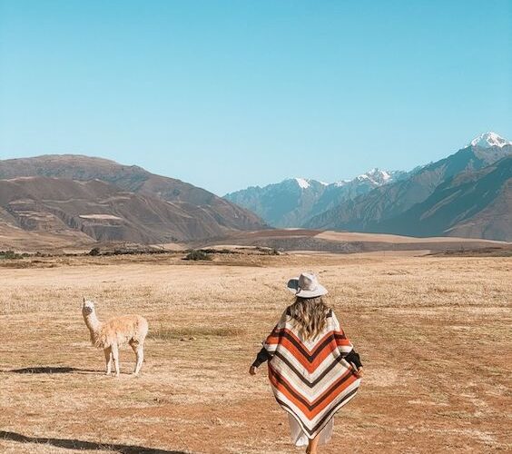 Sacred Valley and Machu Picchu Tour