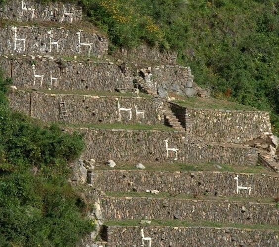 Choquequirao Trek Peru