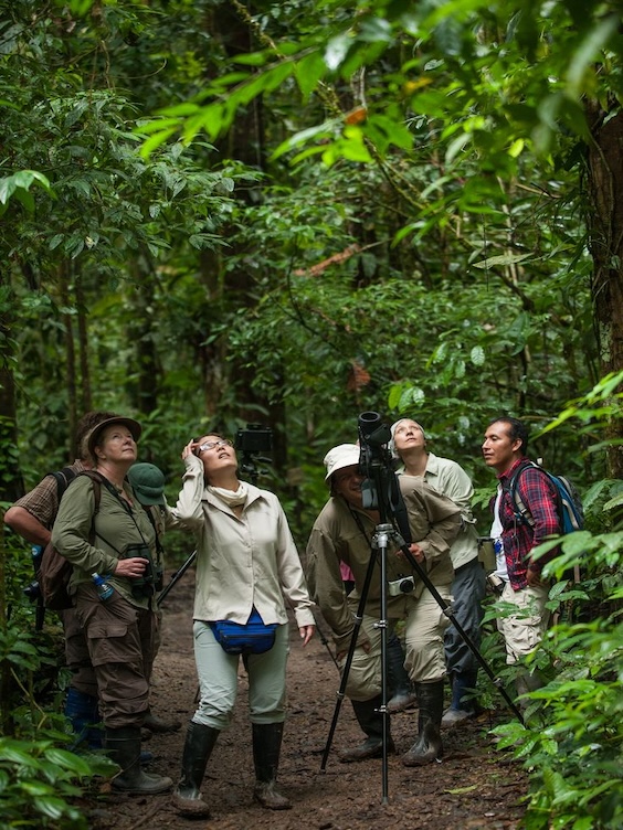 Cusco to Manu National Park Tours