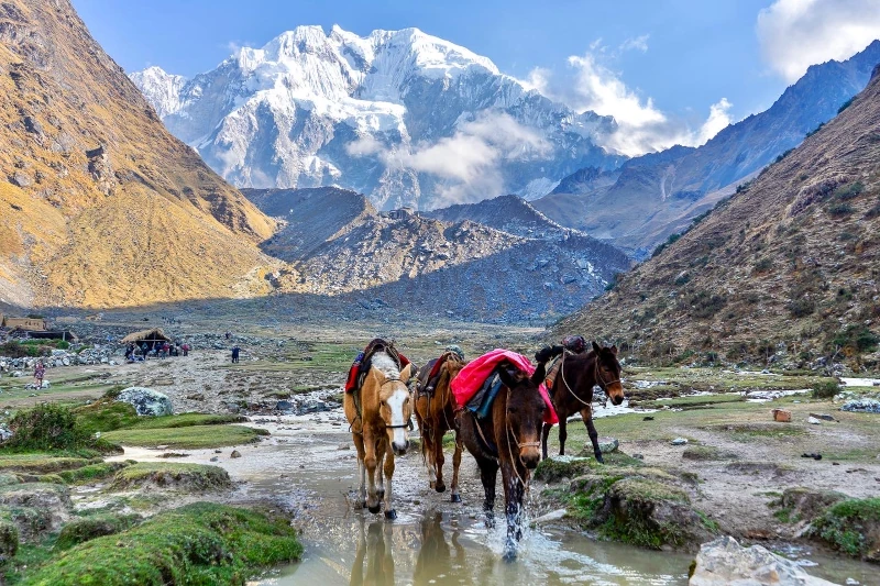 salkantay trail