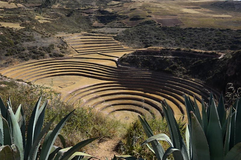 Unusual Facts About Peru