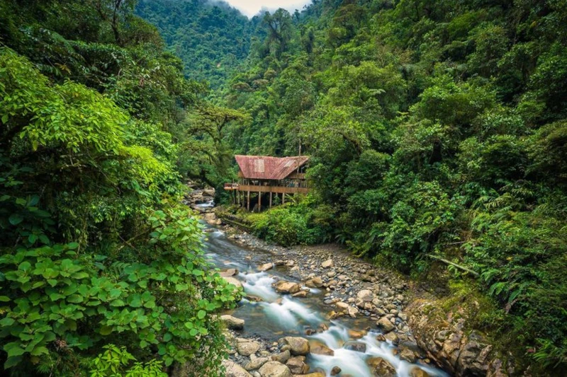 Best Manu National Park Tours